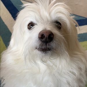 Meet your Posher, Leah